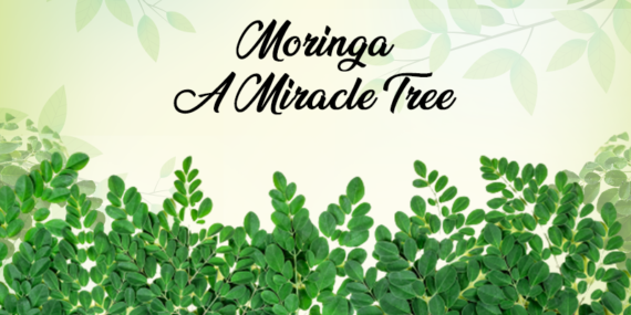 Moringa Benefits – Prevent & Treat Over 300 Diseases with Moringa Leaves