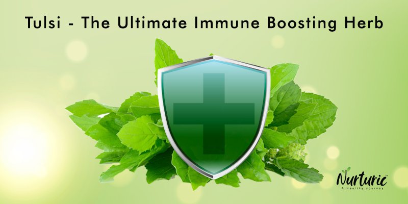 does tulsi boost immunity?