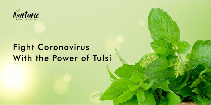 Tulsi to fight coronavirus