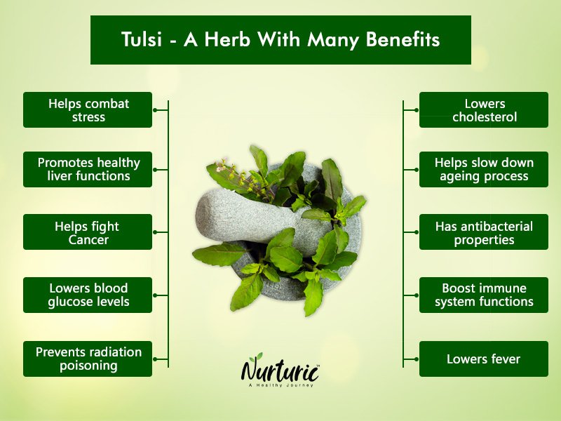 benefits of tulsi