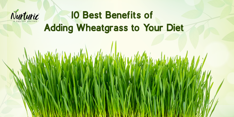 Benefits of taking wheatgrass