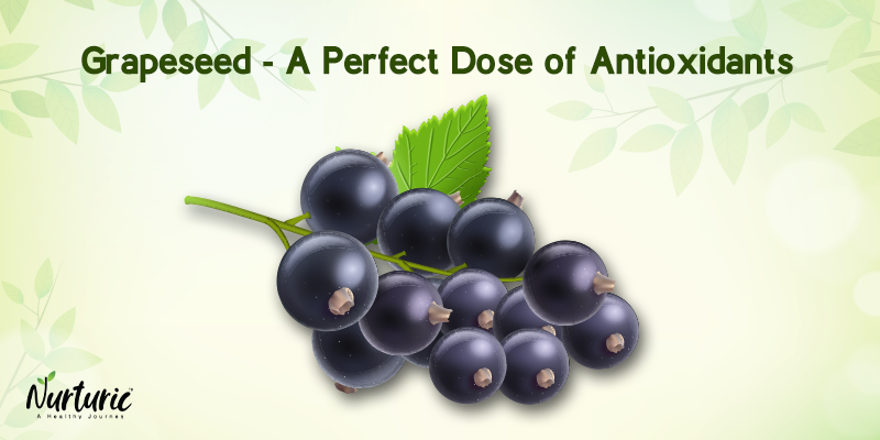 Power Your Body With Rich Source Of Antioxidants 