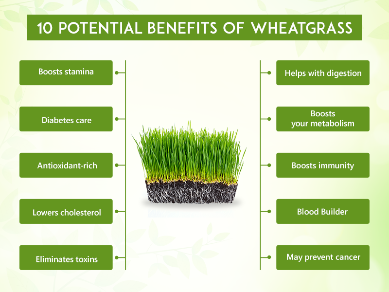 What are the benefits of wheatgrass?