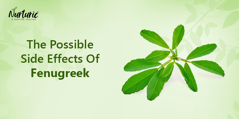 What are the side effects of fenugreek?
